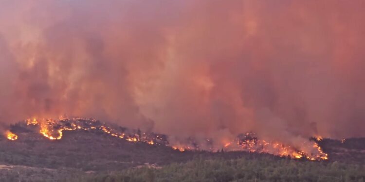 Extreme temperatures in California heat wave; some relief in forecast