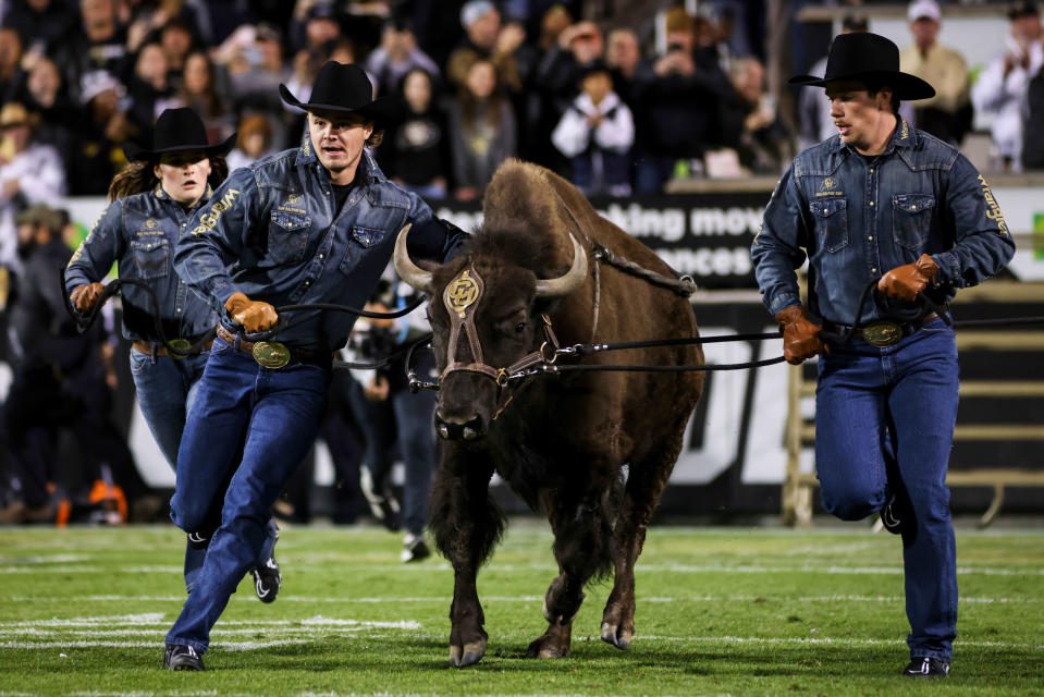 Nov 4, 2023; Boulder, Colorado, USA; Ralphie, the Colorado Buffaloes mascot at Folsom Field. Mandatory Credit: Chet Strange-USA TODAY Sports