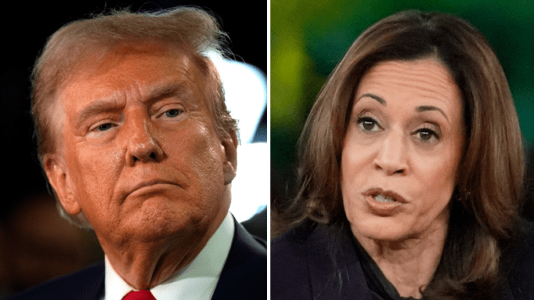 Harris and Trump within margin of error in Michigan: Poll