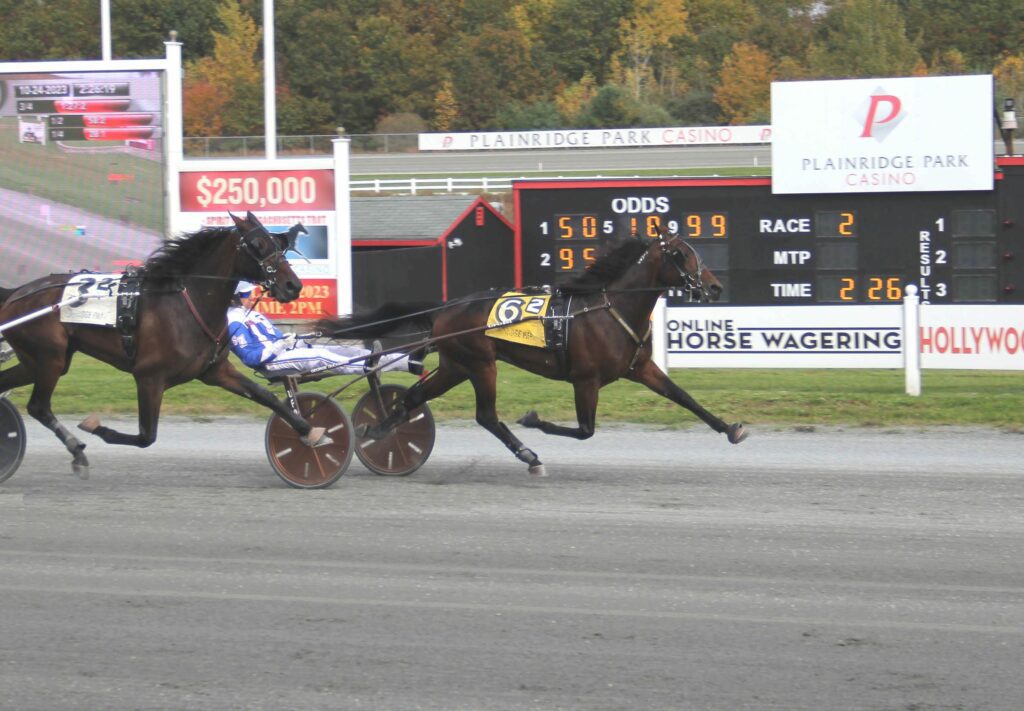 Massachusetts Breeders Stake kicks off Monday