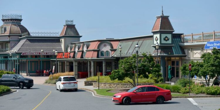 Trader Joe's in Hyannis in July. Officials have signed a 10-year lease to stay in this Iyannough Road location next to the former Christmas Tree Shops and will be expanding.