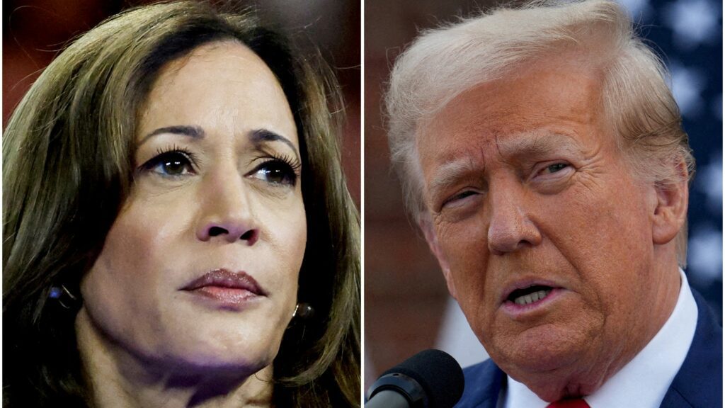 Who is winning in presidential election? Harris-Trump polls and odds