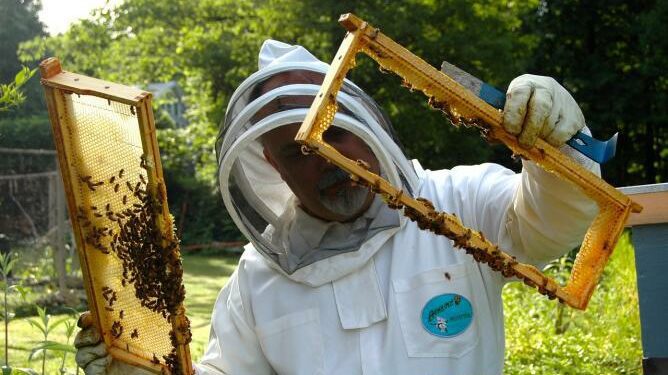 Beekeeping