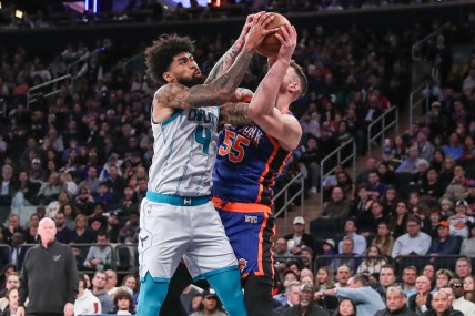 Knicks linked to intriguing Hornets center hitting his prime
