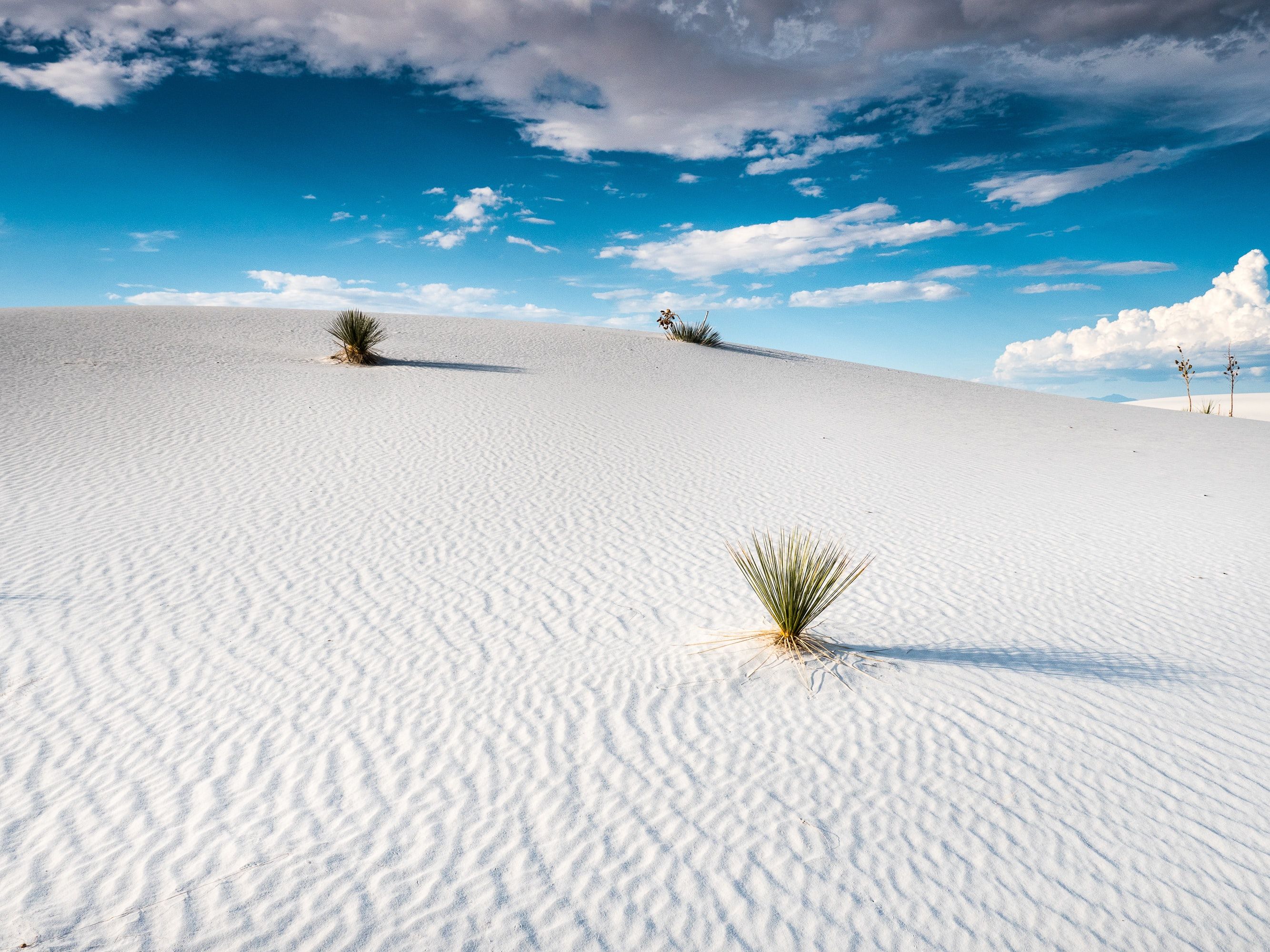 White Sands National Park in New Mexico