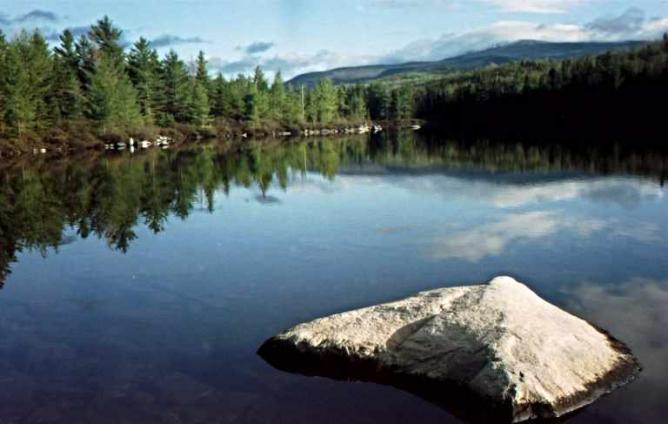 Substantial Reflection (at Baxter Woods)