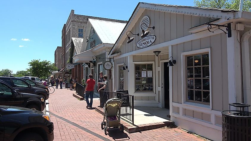 Historic district in Senoia, Georgia, showcasing traditional architecture and charming streets. Editorial credit: 4kclips / Shutterstock.com   Let us begin with something for those who fancy themselves as pop culture connoisseurs. Fans of the hit television series The Walking Dead will find this old-fashioned town, located 40 miles south of Atlanta, to be quite familiar. With a population of around 6,000, Senoia went from a quiet stop-over town to a tourist destination aimed at fans of television series and horror fans in general.  Besides touring the set of The Walking Dead, Senoia also offers a great deal of things to do on Main Street, which is now populated with various shops and restaurants, most of which feature a Walking Dead theme in one way or another, such as the Nic and Norman’s restaurant, founded by Walking Dead actor Norman Reedus and SFX artist Greg Nicotero, or The Walking Dead Cafe. You can also check out The Woodbury Shoppe for a huge selection of Walking Dead memorabilia and other souvenirs. You can also take a stroll down the Senoia Historic District, which features buildings and stores that retain its classic 1820s southern architecture. Go head on over to the Senoia Area Historical Society and Museum to learn more about the city’s almost two-century history.  Cave Spring General Store with antiques in historic Cave Spring, Georgia General Store with antiques in historic Cave Spring, Georgia. Editorial credit: JNix / Shutterstock.com   Certainly a hidden gem of a town in every sense of the word, Cave Spring is located in northwest Georgia, just 5 minutes away from Alabama. It is a small town and home to around 1,205 residents. The town gets its moniker from the crystal-clear spring water that is also the town's primary source of drinking water.  Established in 1832 by Baptist settlers, Cave Spring is a must-visit if you ever find yourself passing through. Heading over to Rolater Park, visitors will find the cave and freshwater spring that the town is named after. Make sure to bring your own water bottle to scoop, and try the freshest water you will find in Georgia. The crystal-clear water from the spring also connects to Rolater Lake, the town’s community swimming pool. Of course, their water is one of the many reasons to visit the underappreciated town of Cave Spring.  You can also check out the downtown area that holds a couple of notable restaurants such as Martha Jane’s Fudge shop for those looking to satisfy their sweet tooth or fill your tummy with a hearty meal over at Linde Marie’s Steakhouse. Outdoor enthusiasts will find the Georgia Pinhoti Trail System to offer a worthwhile hike as it connects Alabama trails to the Appalachian Trail.  Madison Aerial view of Madison, Georgia. Aerial view of Madison, Georgia. Madison is one of the more picturesque towns not only in Georgia but in the United States as a whole. Located near the I-20 highway between Atlanta and Augusta, Madison is a relatively small town that is huge in terms of historical landmarks. With its aptly named Historic District, Madison holds a cavalcade of fascinating vintage architectural buildings such as Rogers House, one of the oldest houses in Madison, Rose Cottage, a historically relevant classic folk Victorian style home, and the well-preserved and stately Heritage Hall. Madison is also part of the Antebellum Trail, which includes interconnected key locations that are considered the best-preserved towns in Peach State.  Visitors can experience the closest one can get to traveling back in time with the grandiose Heritage Hall which is preserved to how it appeared back in the early 1800s. Those who have an affinity towards the supernatural will also have a field day here as murmurs and rumors of hauntings are closely connected to the halls of this vintage establishment. After ghost hunting, maybe you can relax and get a breath of fresh air by visiting Georgia’s Lake Country or take a hike at Hard Labor Street Park, which is located in between Madison and Covington.  If you find yourself hungry from all the walking, head on over to Town 220 Restaurant that holds a selection of mouthwatering menu that also includes vegan options. The Farmview Cafe is another highly recommended dining spot in Madison with their Rock House Burger a must-try.  Jekyll Island Now used as a luxury rental accommodation, Cherokee Cottage is located on Millionaires Row in the historic district on Jekyll Island, Georgia Now used as a luxury rental accommodation, Cherokee Cottage is located on Millionaires Row in the historic district on Jekyll Island, Georgia. Editorial credit: Joanne Dale / Shutterstock.com With only 35% of the island being developed and the rest pretty much untouched, the tranquil Jekyll Island is ripe for visitors who want to experience a land that seems to have been left behind by time in the 1700s. Nature enthusiasts will find a lot to love with Jekyll Island’s 5,500-acre land, especially the eight miles of beautiful beaches such as St. Andrews Beach Park and Great Dunes Beach Park that offer a level of privacy away from the bustling life of nearby cities and towns. The island offers such a unique experience that very few towns in Georgia or the United States can equal.  Those who have a fascination with nature’s grandeur will find the Mosaic, Jekyll Island Museum to be a remarkable stopover as it details the island's rich history and diverse ecosystem, pretty much everything worth noting about this picturesque island is summarized at this museum. The Summer Waves Water Park is also a fun destination for families to unwind, while the Historic Landmark District showcases well-preserved, charming vintage houses from centuries ago, such as the ruins of Horton House, one of the oldest tabby-made buildings in Georgia, as well as the historic Faith Chapel, which was built in 1904. Jekyll Island certainly feels like a place that time has forgotten in the best way possible.  St. Marys Our Lady Star of the Sea Catholic Church is one of the oldest religious structures located within the St. Marys Historic District in St. Marys, GA Our Lady Star of the Sea Catholic Church is one of the oldest religious structures located within the St. Marys Historic District in St. Marys, GA, via William Silver / Shutterstock.com The charming coastal town of St. Marys, once a bustling seaport and now a quaint tourist destination, is certainly a city that you need to visit if ever you are in Georgia. Discovered by Spanish settlers in the mid-16th century, St. Marys has opted to preserve its traditions even to this day with its old-fashioned buildings and longstanding harbor. Capturing the allure of the quiet, small-town lifestyle, St. Marys can be a fine way to escape the fast-paced city life. Tourists will find several intriguing attractions to visit, such as the St. Marys History Walk, which takes visitors through the Timucua Native American territory, and the St. Marys Submarine Museum.  Of course, what is a harbor town without taking a ferry ride? Cumberland Island near St. Marys will offer such an attraction to truly give visitors a taste of the coastal town’s way of life. For those interested, they can check out the Lands and Legacies Tour during their visit. For history buffs who further want to satisfy their cravings, the accurately named St. Mary Historic District will assist in filling your inquisitive mind with locations such as McIntosh Sugarworks, a fascinating old tabby structure, and the sprawling Plum Orchard Mansion, which is an architectural marvel from olden days.  Tallulah Falls Tallulah Falls, Georgia, USA, overlooking Tallulah Gorge during autumn. Tallulah Falls, Georgia, USA, overlooking Tallulah Gorge during autumn. Tallulah Falls is another hidden treasure that resides in the heart of Georgia. Holding only around 200 residents, you will find very few towns that can compare to the level of splendor and serenity that Tallulah Falls provide. Surrounded by magnificent and breathtaking natural beauty, nature enthusiasts will feel right at home in this sleepy town. Visitors are highly recommended to bask in the awe-inspiring 1,000-foot-deep Tallulah Gorge, the town’s main attraction.  For those looking for something that will get the heart racing, the winding Tallulah River offers an excellent kayaking opportunity. In regards to the town’s history, you can also visit the Jane Hurt Yarn Interpretive Center, which offers a detailed record of Tallulah Falls history from its establishment in the 1880s to all the important events that helped shape the town into what it is today.  Blue Ridge Aerial view of downtown Blue Ridge, Georgia. Aerial view of downtown Blue Ridge, Georgia. Blue Ridge is located in North Georgia and encapsulates exactly what you expect from a peaceful mountain town. Surrounded by striking mountain ranges, Blue Ridge is an unassuming town at first glance but holds a rather rich and interesting history. Tubing in the tranquil Toccoa River is one of the best ways to wash away stress in Blue Ridge. On the flip side, if you want something more exciting, the Blue Ridge Aerial Adventure Park offers a fun zip line tour over 165 acres of lush nature. The town exudes a relaxing vibe thanks to the rivers, forests, and waterfalls that decorate its surroundings. Visitors can also board the Blue Ridge Scenic Railway, which will go around the Appalachian foothills through the Toccoa River for a genuinely memorable ride.  Besides the scenic natural beauty, Blue Ridge also holds several breweries, restaurants, stores, and art galleries to soak up during your stay. One notable fine dining spot in Blue Ridge is the Black Sheep Restaurant, which ranks pretty high with food tourists with its classic southern cuisine and locally sourced ingredients for that au natural experience. You can also visit the numerous orchards around town and participate in picking fruits such as Mercier Orchards, Johnson’s Orchards, and Jeter Mountain Farm Apple Orchard. One particular interesting attraction of Blue Ridge is the retro drive-in cinema, the only one operating in the region. The chance to experience watching films in a way that was phased out decades ago is certainly one of the main attractions offered by Blue Ridge.  Peachtree City A beautiful scene in Peachtree City, Georgia. A beautiful scene in Peachtree City, Georgia. Image credit: PTCdude via Wikimedia Commons. For those looking to both unwind and explore interesting historical spots in Georgia, Peachtree City is among those that offer both experiences in spade. First-time visitors will immediately notice the town’s preferred mode of transportation: golf carts, which offer an insight into the slow-paced life that the town offers. Speaking of unwinding, the shores of Lake Peachtree are perfect for picnics or simply to relax both the body and mind. Such a place of relaxation is welcome, considering that visitors will most likely walk and hike along the various scenic nature trails surrounding Peachtree City.  In terms of what it can offer regarding cultural enrichment, tourists will find the Frederick Brown Jr. The amphitheater is a great place to watch a wide variety of artistic performances. In addition, there is the McIntosh Trail Complex, which is the center of the town’s music and art, and Shakerag Arts and Crafts, which features a collection of local artisans’ creations. Besides the various artistic conventions, Peachtree City is also well-known for the Dragon Boat Races and International Festival, which the town holds annually.  The Takeaway The state of Georgia holds a vast collection of beautiful vistas, both man-made and natural. However, there are always a couple of towns in the Peach State that are often overlooked, but this doesn’t mean that these towns and cities are not worth the visit. Far from it, as you can see from the list of underappreciated towns above, there are a ton of reasons to appreciate the unique experience and beauty that these places offer anyone who decides to pass by.  SHARE      Home Places Cities 8 Underappreciated Towns to Visit in Georgia Bipasha Bhatia May 22 2024 in Places More In Places Tulip Time Festival Parade in Pella, Iowa. Image credit yosmoes815 via Shutterstock 6 Delightful Towns To Visit In Iowa Main Street in downtown Canandaigua, New York. Editorial credit: Ritu Manoj Jethani / Shutterstock.com. 6 Friendliest Towns To Visit In The Finger Lakes In 2024 Cafe and restaurant in Boulder City, Nevada. Image credit Laurens Hoddenbagh via Shutterstock 8 Delightful Towns To Visit In Nevada View of a buggy in front of Scotts Bluff National Monument in Nebraska. 10 Lovely Small Towns To Visit In Nebraska This Summer Downtown Mall in Charlottesville, Virginia, via MargJohnsonVA / Shutterstock.com 10 Ideal Virginia Destinations For A 3-Day Weekend In 2024 Visitors enjoying the warm summer day on the street in Bethany Beach, Delaware. Image credit Khairil Azhar Junos via Shutterstock 8 Friendliest Towns To Visit In Delaware In 2024 Looking down Branson Landing in Branson, Missouri, during an early morning. Editorial credit: NSC Photography / Shutterstock.com 2024'S 8 Most Beautiful Small Towns In Missouri West Monroe, Louisiana / USA. Editorial credit: The Southern Gentleman / Shutterstock.com 7 Adorable Small Towns In Louisiana To Visit In 2024