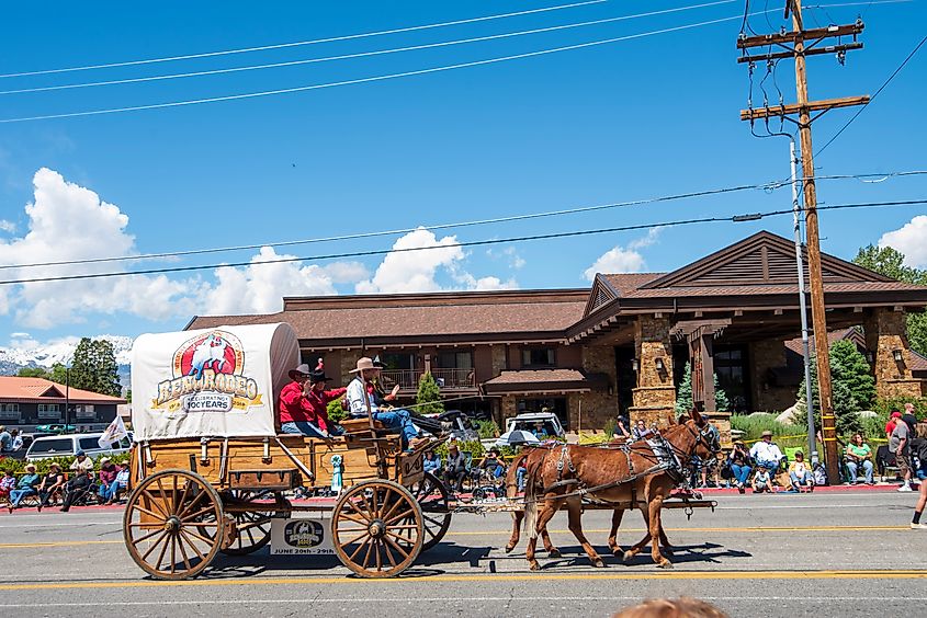 Mule Day Parade in Bishop, California