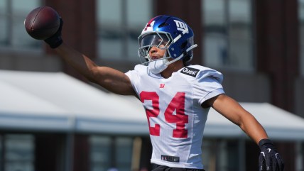 Giants’ 3rd-year ballhawk gunning for starting safety job