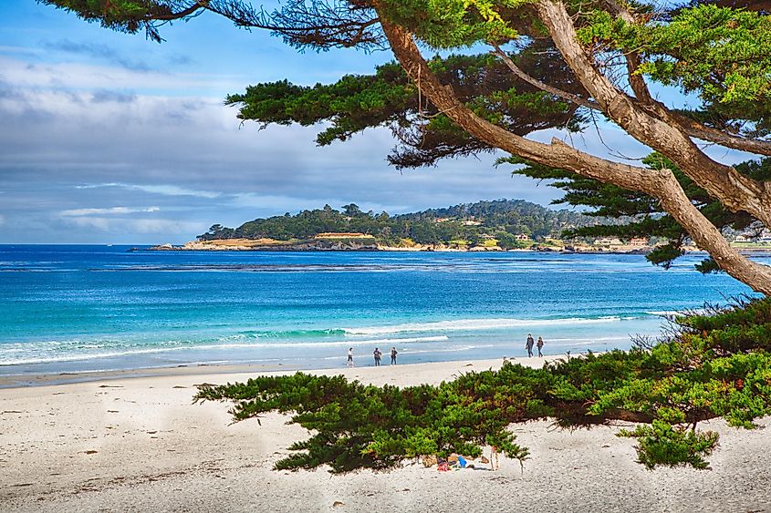 The stunning beach at Carmel-by-the-Sea.