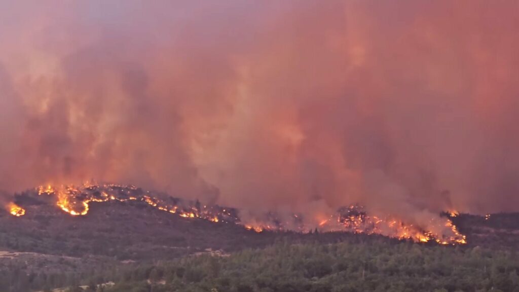 Extreme temperatures in California heat wave; some relief in forecast