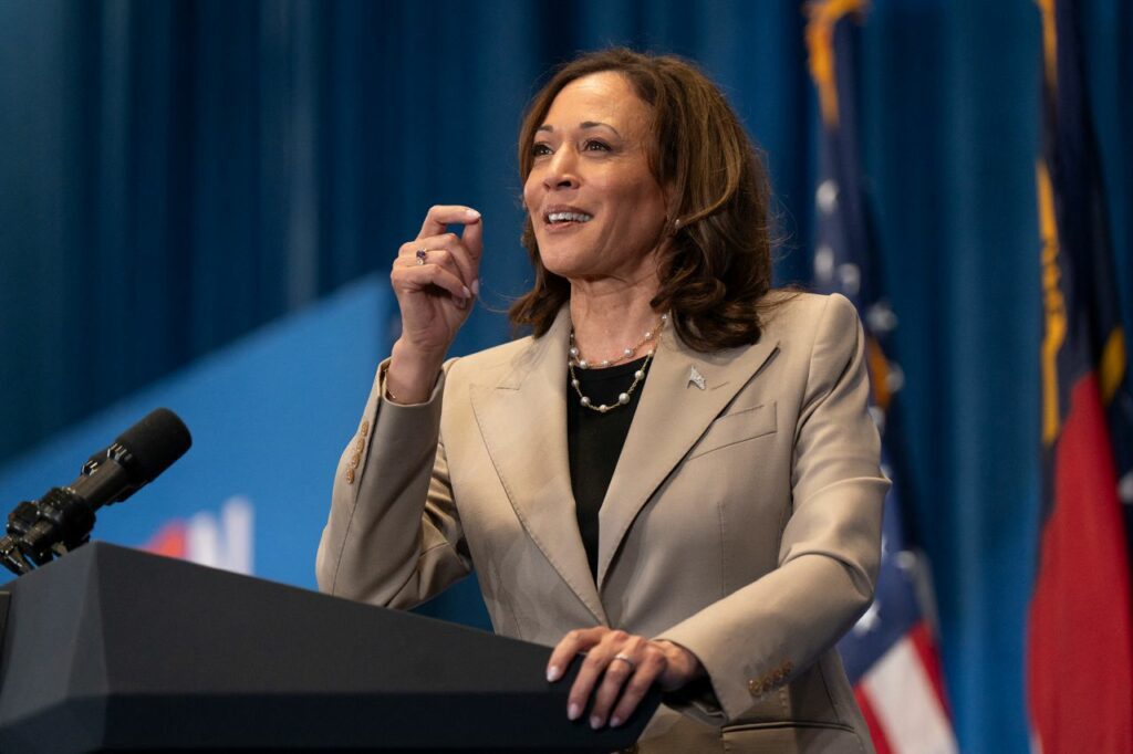 Vice President Kamala Harris speaks during a campaign event in Fayetteville, North Carolina, on July 18.