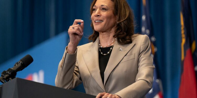 Vice President Kamala Harris speaks during a campaign event in Fayetteville, North Carolina, on July 18.