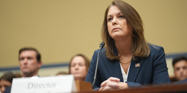 Secret Service Director Kimberly Cheatle got start in Michigan