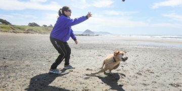 Aimee Davis tosses a tennis ball for her dog Rocky at what is commonly known as Dog Beach between Morro Bay and Cayucos.