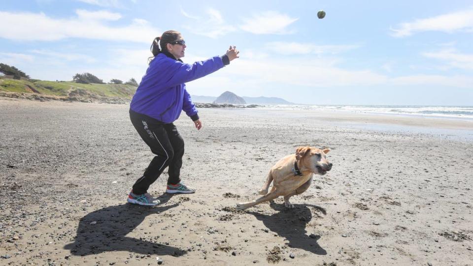 Aimee Davis tosses a tennis ball for her dog Rocky at what is commonly known as Dog Beach between Morro Bay and Cayucos. 