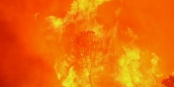 Thousands of acres burned in California wildfire