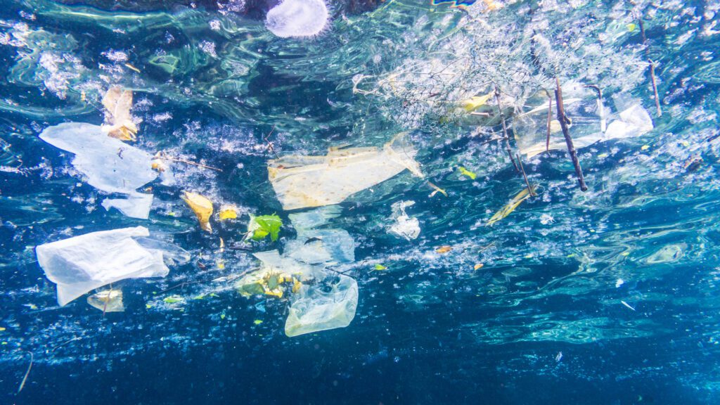 Trump signs Alaska-backed bill targeting plastic trash in Ocean – Eye on the Arctic