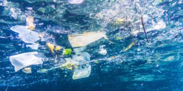 Trump signs Alaska-backed bill targeting plastic trash in Ocean – Eye on the Arctic