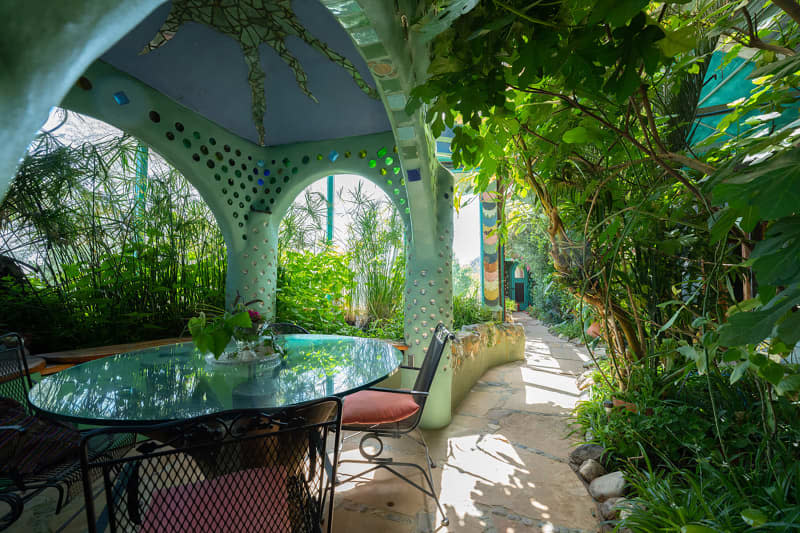 Plants in courtyard of earthship home.