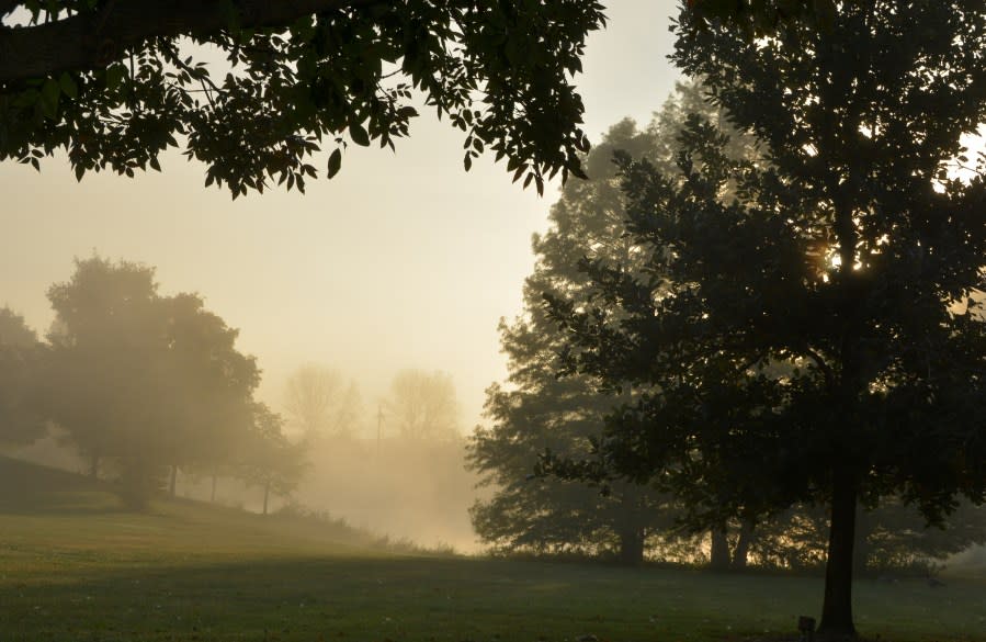 Morning Fog/The morning fog in Zanesville, Ohio.