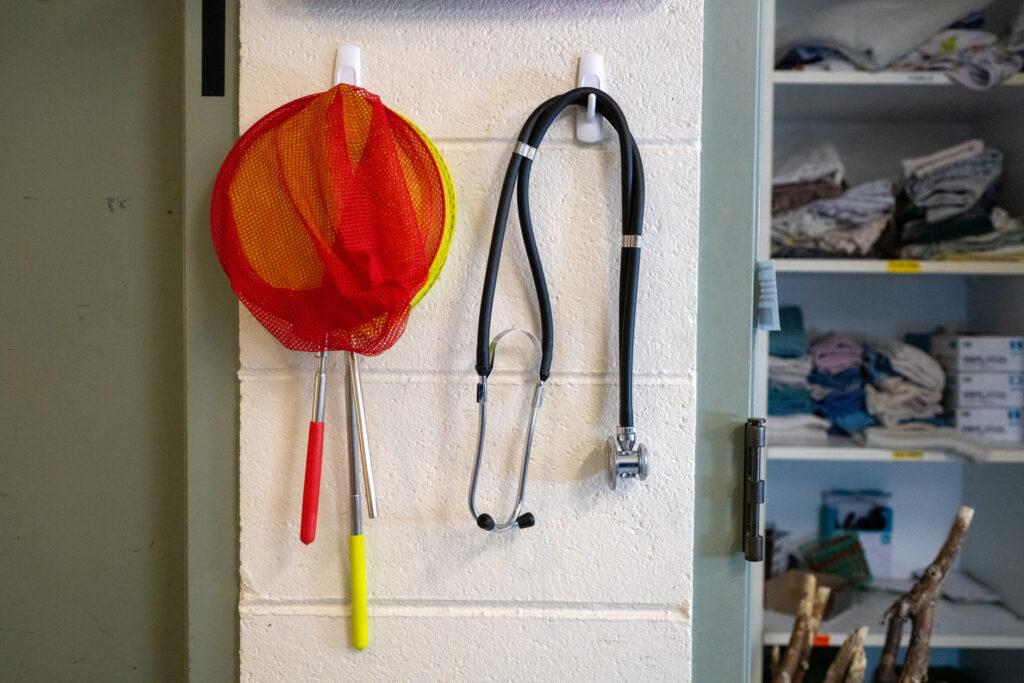 Animal nets and a stethescope the Greenwood Wildlife Rehabilitation Center in Lyons