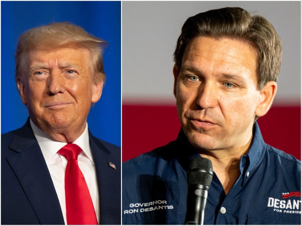 Outspoken Republican Ron DeSantis won the Florida governor election by a landslide (Getty)