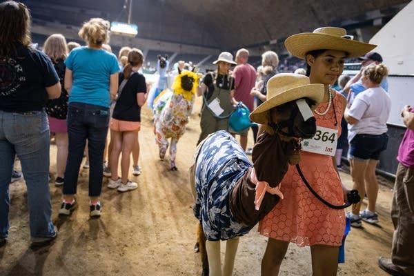 A young woman and her llama walk out of an arena