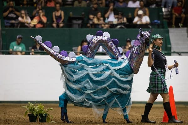 A girl walks with her llama