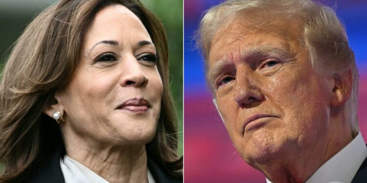 Latest Harris-Trump poll highlights danger for former president in Florida – USA TODAY