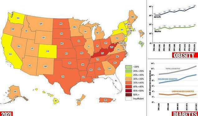 Mapped: U.S. Obesity Rates, by State – Visual Capitalist