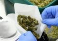 98 Ohio marijuana dispensaries can begin recreational sales