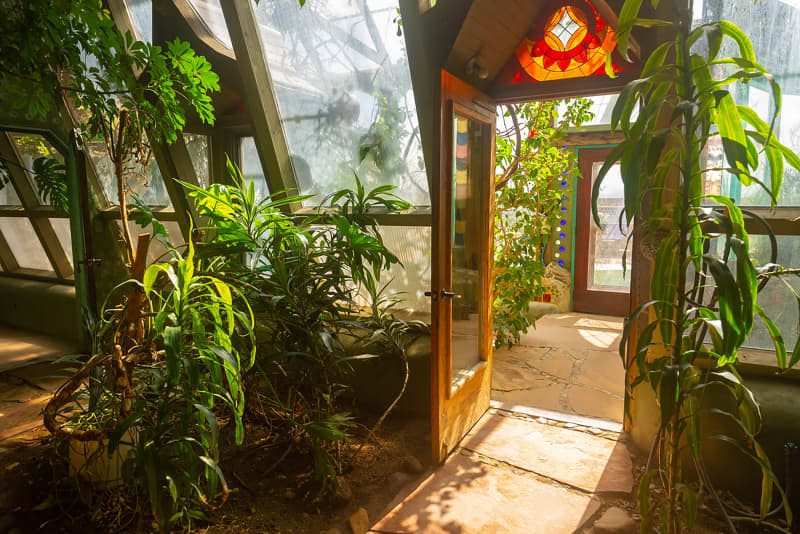 House plants growing in earthship house.