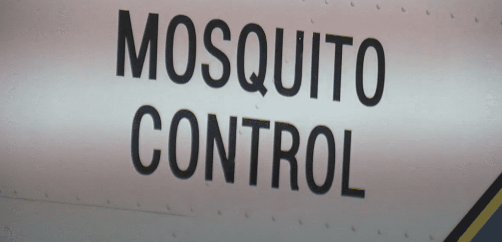 mosquito control