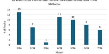 This graph shows how many flocks were infected with avian influenza each month so far in 2024.