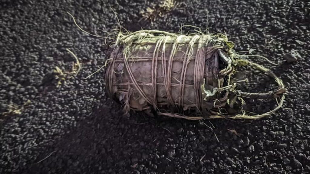 Hawaii bombs found: FBI investigates string of explosive devices found scattered across Maui