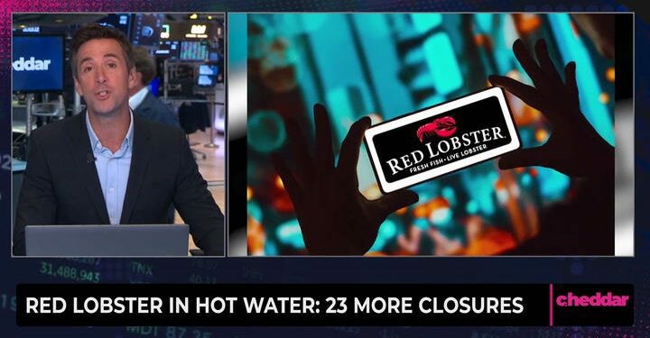 Is Fox News blaming an Ohio influencer for 'destroying' Red Lobster?