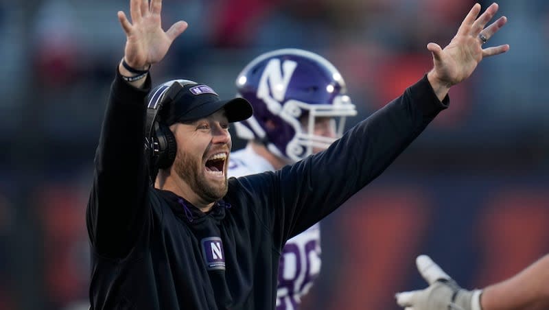 Northwestern head coach David Braun throws up his hands after Illinois offensive lineman Dom D'Antonio recovered a fumble to score a touchdown during the first half of an NCAA college football game, Saturday, Nov. 25, 2023, in Champaign, Ill.