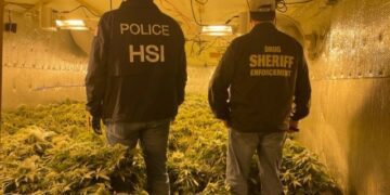 Maine's illegal pot grow sites signs of human trafficking