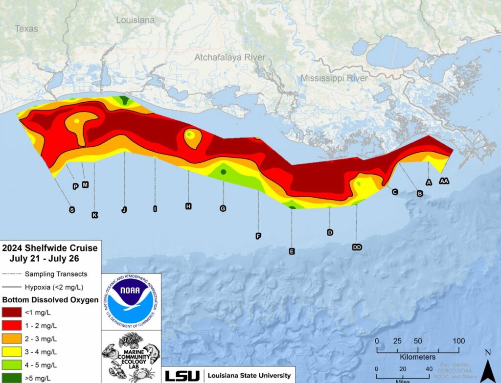 Map of hypoxic Gulf of Mexico zones