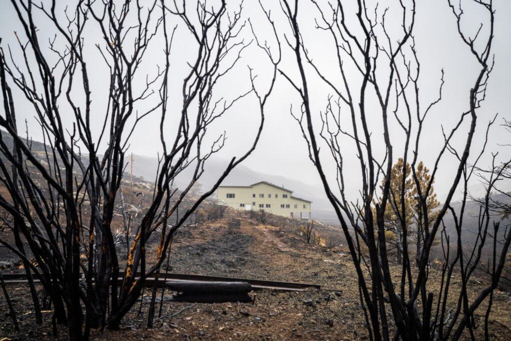 The burn scar in Stone Canyon