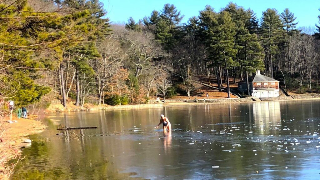 People cutting fences to access limited Walden Pond space