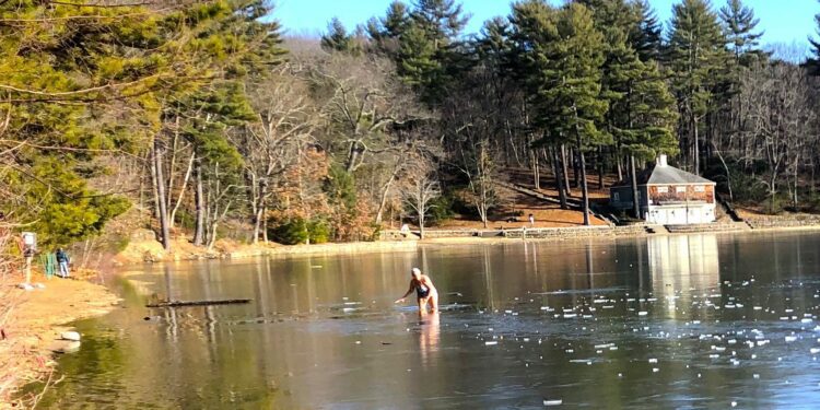 People cutting fences to access limited Walden Pond space