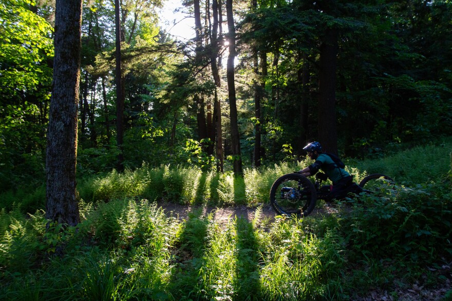 A photo of a person riding an adaptive mountain bike on a trail that's surrounded by ferns. Golden sunlight pours through trees, creating dramatic shadows.