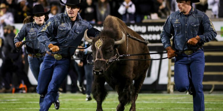 Nov 4, 2023; Boulder, Colorado, USA; Ralphie, the Colorado Buffaloes mascot at Folsom Field. Mandatory Credit: Chet Strange-USA TODAY Sports