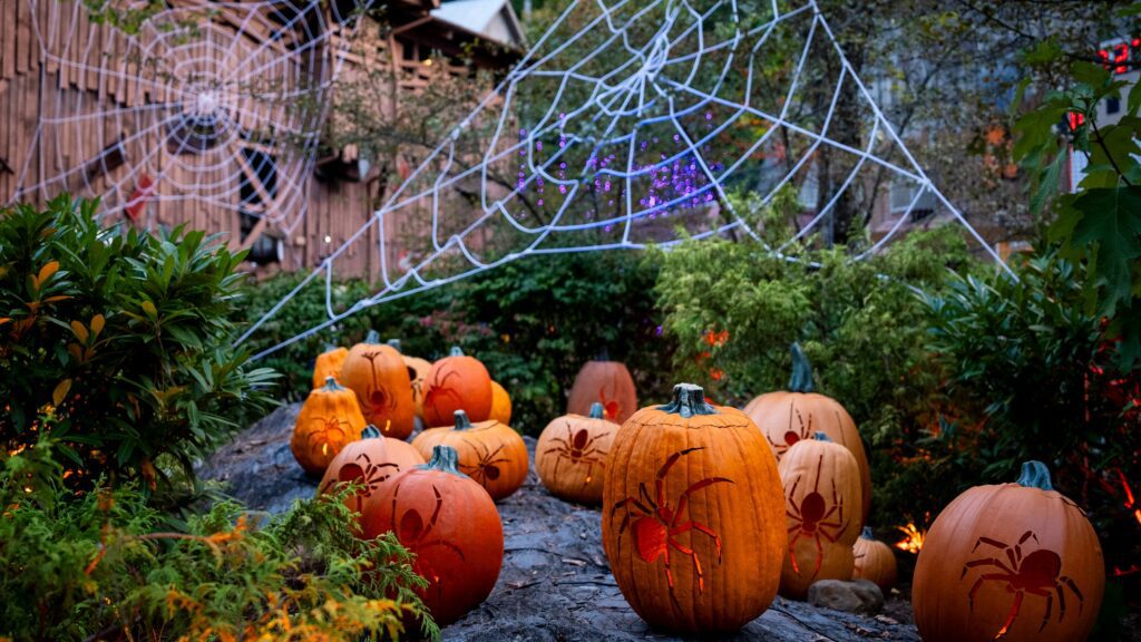 10 Best Fall Festivals in US includes Fall for Greenville 2024