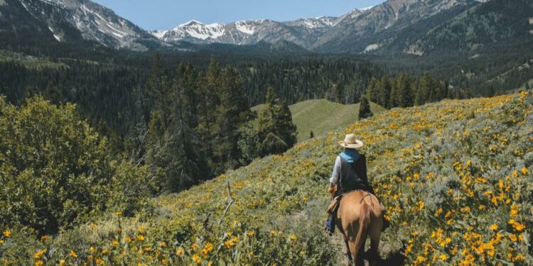 A horseback riding trip through Wyoming through Teton Canyon to the edge of Yellowstone National Park promises breathtaking views of the American landscape.