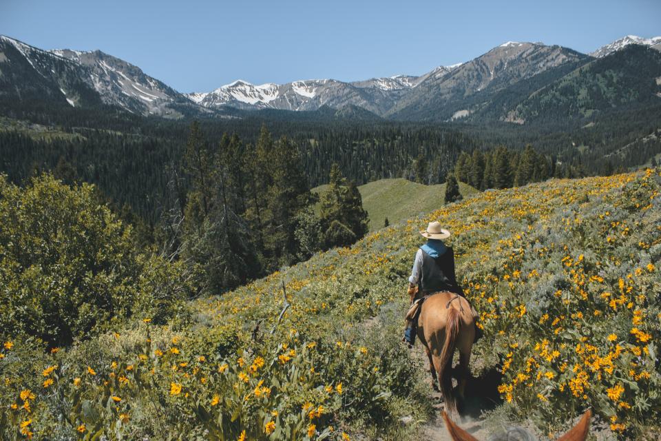 A horseback riding trip through Wyoming through Teton Canyon to the edge of Yellowstone National Park promises breathtaking views of the American landscape.