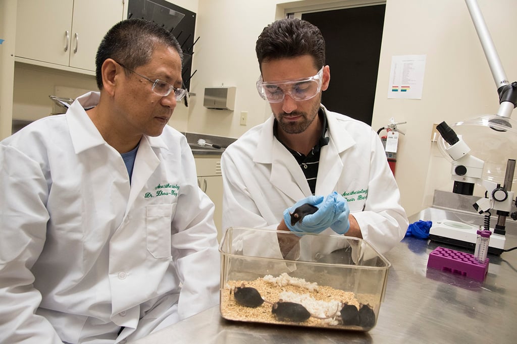 Chen Zhoufeng (left) and his colleagues made a series of discoveries to advance the understanding of how itching works. Photo: Washington University school of medicine