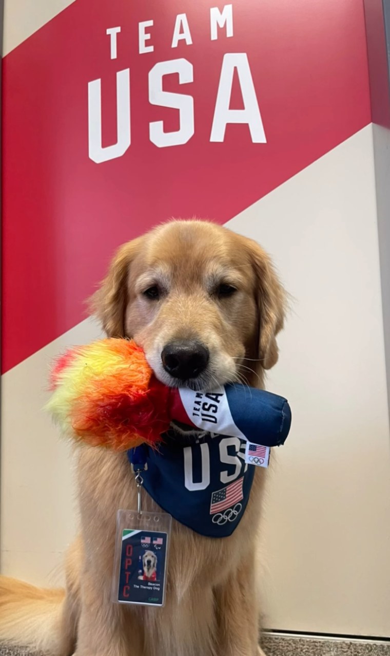 Beacon was Team USA gymnastics' therapy dog while in Paris.